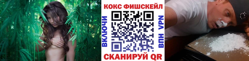 КОКАИН Fish Scale  Купить где  Алдан 