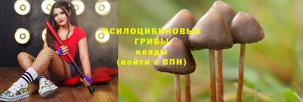 марихуана Покачи